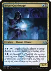 Product image for House Guildmage
