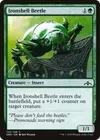 Product image for Ironshell Beetle