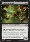 Product image for Essaim de krauls