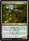 Product image for Titubeur à rhizomes