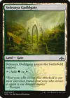 Product image for Porte de la guilde de Selesnya