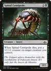 Product image for Spinal Centipede