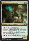Product image for Ghildmage de l'Essaim
