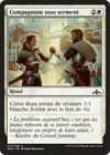 Product image for Compagnons sous serment