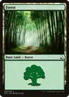 Product image for Forest