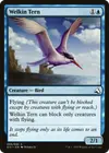 Product image for Welkin Tern