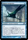 Product image for Raptor nuageoire