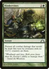 Product image for Hindervines