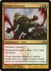 Product image for Primal Visitation