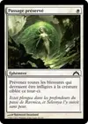 Product image for Passage préservé