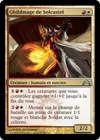 Product image for Ghildmage de Solcastel