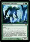 Product image for Primordial sylvestre