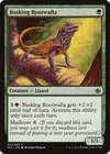 Product image for Basking Rootwalla