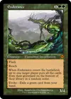 Product image for Endurance