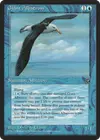 Product image for Giant Albatross