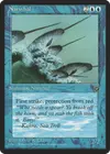 Product image for Narwhal