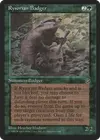 Product image for Rysorian Badger