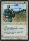 Product image for Soraya the Falconer
