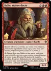 Product image for Balin, maître docte