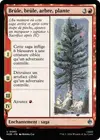 Product image for Brûle, brûle, arbre, plante
