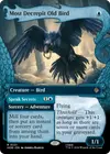 Product image for Most Decrepit Old Bird // Speak Secrets