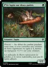 Product image for P'tit lapin sur deux pattes