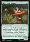 Product image for Nasty Little Rabbit