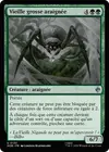 Product image for Vieille grosse araignée