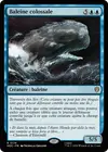 Product image for Baleine colossale