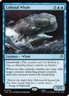 Product image for Colossal Whale