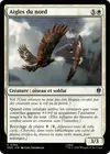 Product image for Aigles du nord
