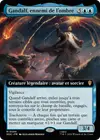 Product image for Gandalf, ennemi de l'ombre