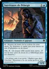 Product image for Survivante de Pelargir
