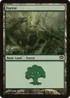 Product image for Forest