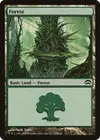 Product image for Forest
