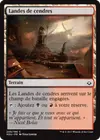 Product image for Landes de cendres