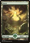 Product image for Forest