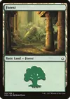 Product image for Forest