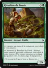 Product image for Ritualiste de l'oasis