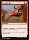 Product image for Ouvrir le feu