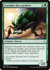 Product image for Scarabée des carrières