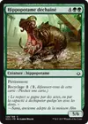 Product image for Hippopotame déchaîné