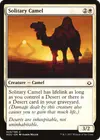 Product image for Solitary Camel