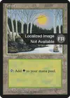 Product image for Forêt