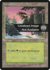 Product image for Forêt