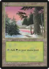 Product image for Forest