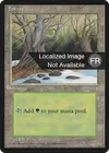 Product image for Forêt