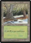 Product image for Forest