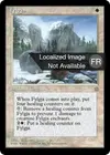 Product image for Fylgja