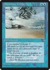 Product image for Illusionary Terrain